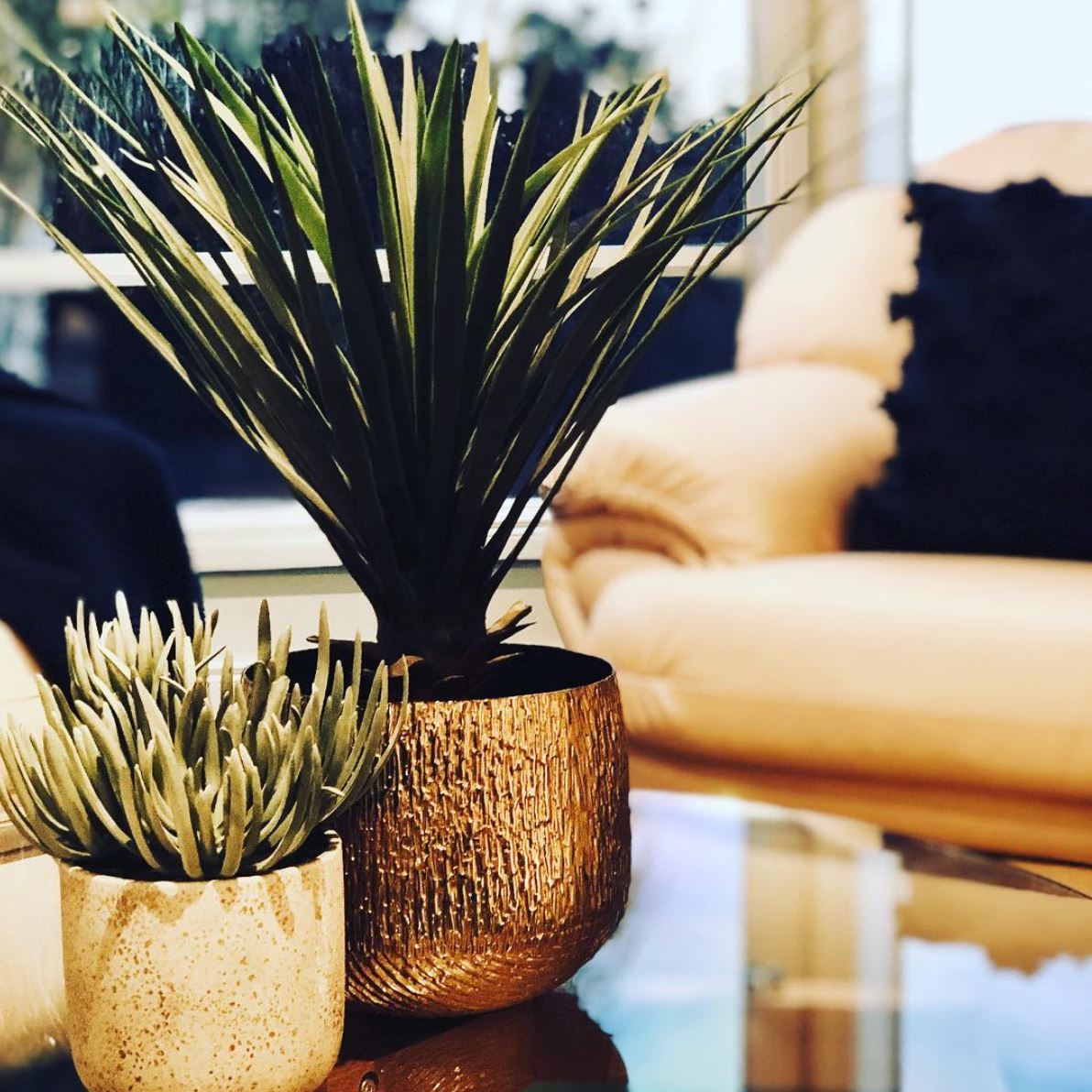 Scott Court, Patterson Lakes Vispop Interiors